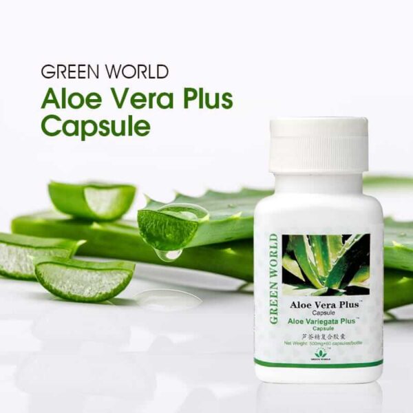 Aloe Vera Plus Capsule - Image 2
